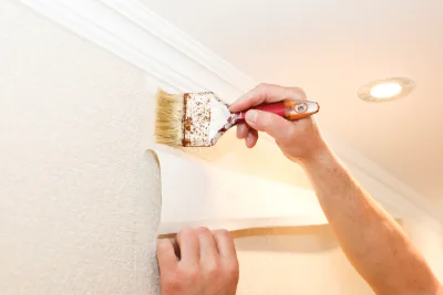 Pose de papier peint à Domarin — revêtements muraux et toiles de verre